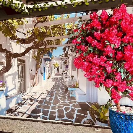 Apartment Summer Blue Navodari