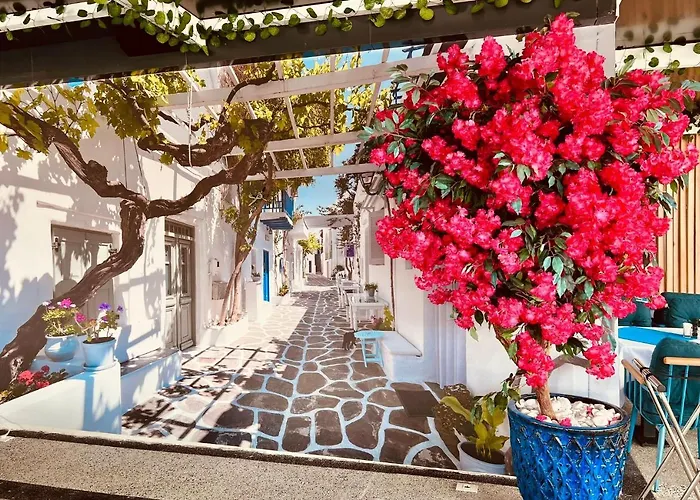 Apartment Summer Blue Navodari